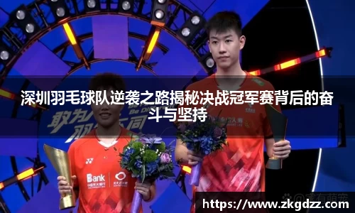 DG视讯平台