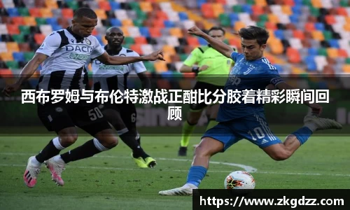 DG真人视讯