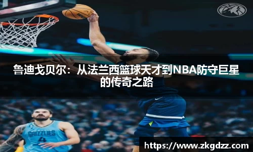 DG视讯平台
