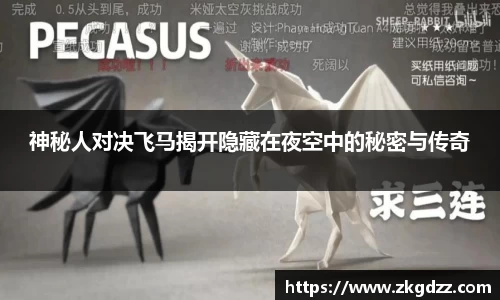 DG视讯