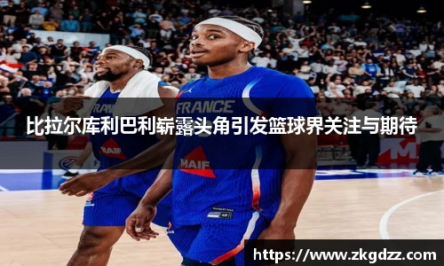 DG视讯官方网站